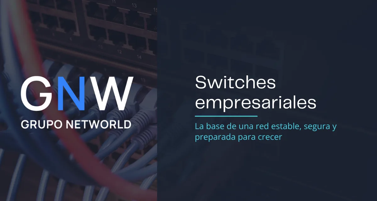 Switches empresariales: la base de una red estable, segura y preparada para crecer